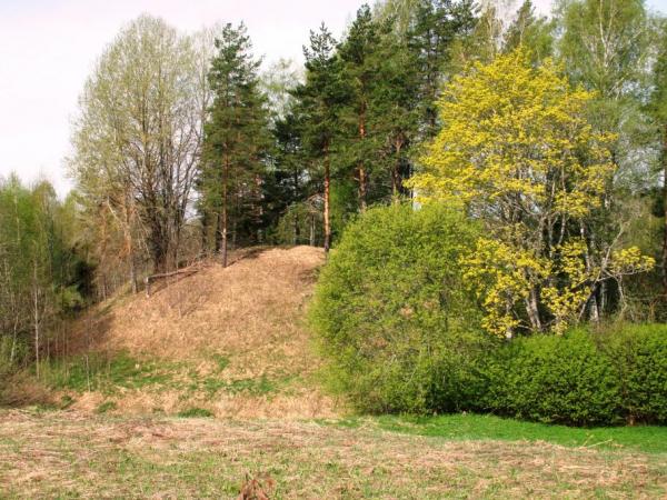 Tīrumviekšeļu pilskalns no austrumu puses, 2015.g. maijs. Edgara Žīgura foto 