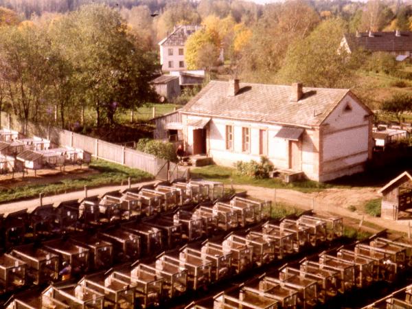 1. attēls. Skats uz zvērsaimniecību 80. gadu vidū. Jurģa Kočāna foto. 1. attēls. Skats uz zvērsaimniecību 80. gadu vidū. Jurģa Kočāna foto.