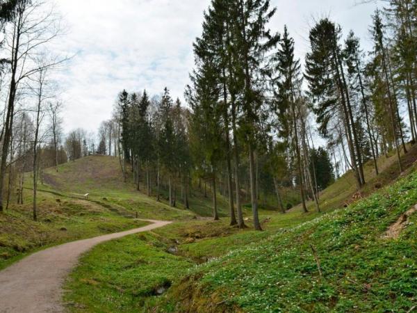Gegrēnu pilskalnu komplekss. Attēls: visitplunge.lt