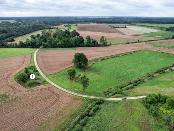 1. attēls. Odiņu kroga vieta (1). Aizkraukles novads, Pilskalnes pagasts. 2023. g. 8. augusts. V.Grīviņa foto.