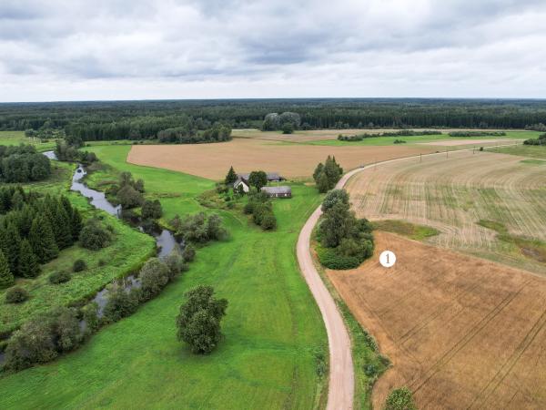 1. attēls. Rises kroga vieta (1). Skats no Gricgales puses. Aizkraukles novads, Pilskalnes pagasts. 2023. g. 8. augusts. V.Grīviņa foto.