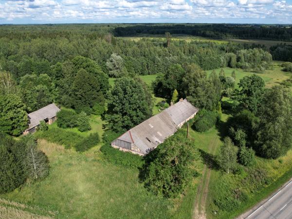 1. attēls. Bumbuļu krogs. “Dārziņi”, Zalves pagasts, Aizkraukles novads. 2023. gada 9. augusts. V. Grīviņa foto.