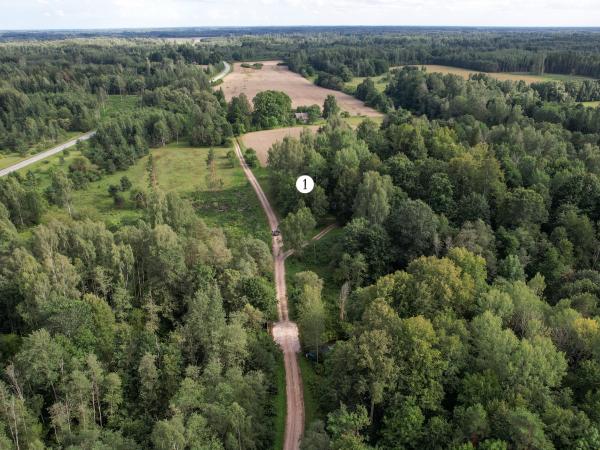 1. attēls. Priedes kroga vieta (1). Zalves pagasts, Aizkraukles novads. 2023. g. 12. augusts. V. Grīviņa foto.