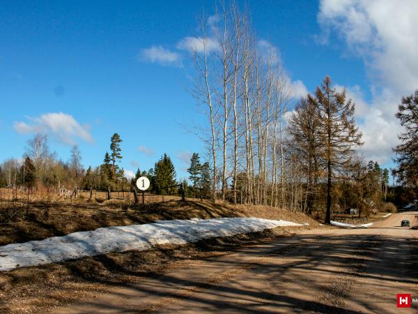 1. attēls. Pauliņu kroga domājamā atrašanās vieta pļavā pa kreisi no ceļa (1). Aizmugurējā plānā ceļa kreisajā pusē – “Pauliņu” mājas. 2022.gada 16.aprīlis. V.Grīviņa foto.