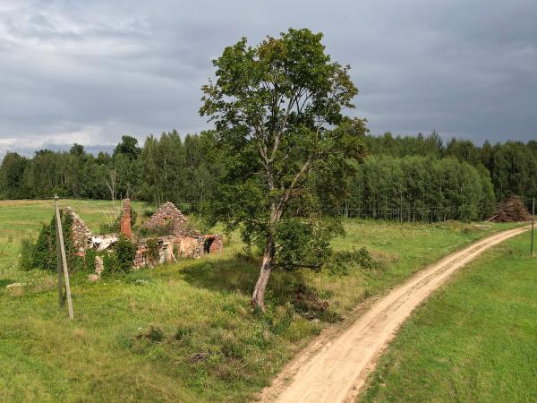 1. attēls. Smilšu kroga drupas. Jēkabpils novads, Rites pagasts. 2023. g. 9. augusts. V. Grīviņa foto.