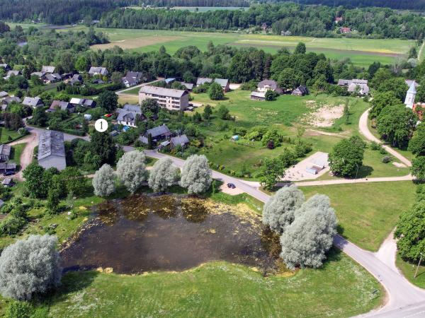 1. attēls. "Ciņi" (1), Renda, Rendas pag., Kuldīgas novads. 2022.g. 11. jūnijs. V. Grīviņa foto.