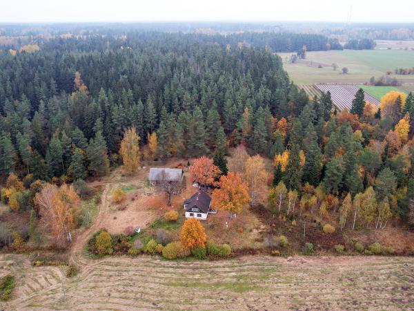 1. attēls. "Auziņas" skatā no Abavas puses. Rendas pagasts, Kuldīgas novads. 2022.g. 15.oktobris. V.Grīviņa foto.