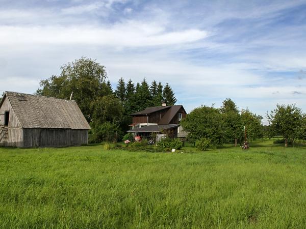 1. attēls. "Zīļuki" (bij. "Birzītes). Rendas pag., Kuldīgas nov. 2022.g. 2.augusts. V.Grīviņa foto.