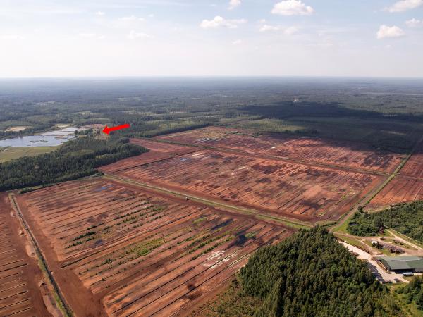 1. attēls. Aizpurvu vieta pāri Ozolu tīrelim skatā no DA. Rendas pagasts, Kuldīgas novads. 2022.g. 4.augusts. V.Grīviņa foto.