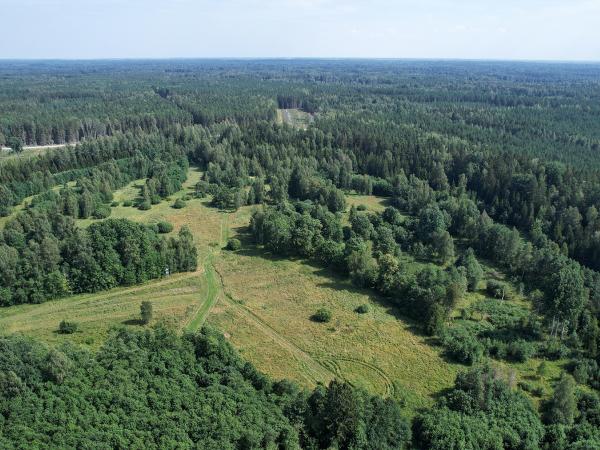 1. attēls. "Apškalnu" mājvieta skatā no putna lidojuma. Rendas pagasts, Kuldīgas novads. 2022.gada 15.augusts. V.Grīviņa foto.