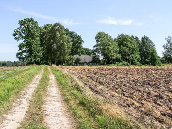 1. attēls. "Avotnieki" no Kuldīgas šosejas puses. Rendas pagasts, Kuldīgas novads. 2022.g. 5.augusts. V.Grīviņa foto.