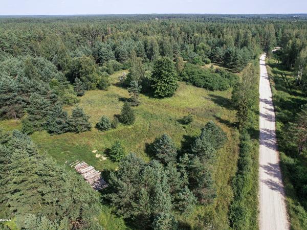 1. attēls. Skats uz "Bērzkalnu" mājas vietu. Rendas pagasts, Kuldīgas novads. 2022.g. 4.augusts. V.Grīviņa foto.
