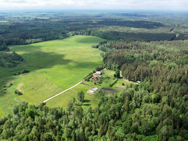 1. attēls. "Ceļmaļi" no putna lidojuma. Rendas pag., Kuldīgas nov. 2022.g. 11.jūnijs. V.Grīviņa foto.