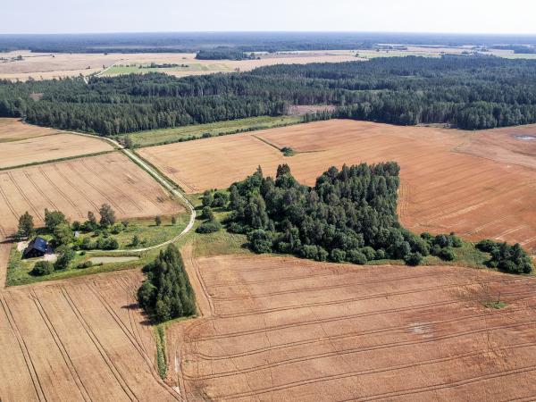 1. attēls. "Dižstrēļu" vieta skatā no putna lidojuma. Rendas pag., Kuldīgas nov. 2022. g. 4. aug. V. Grīviņa foto.