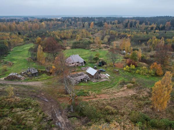 1. attēls. "Dižtalcnieki", Rendas pag., Kuldīgas nov. 2022.g. 16. oktobris. V.Grīviņa foto.