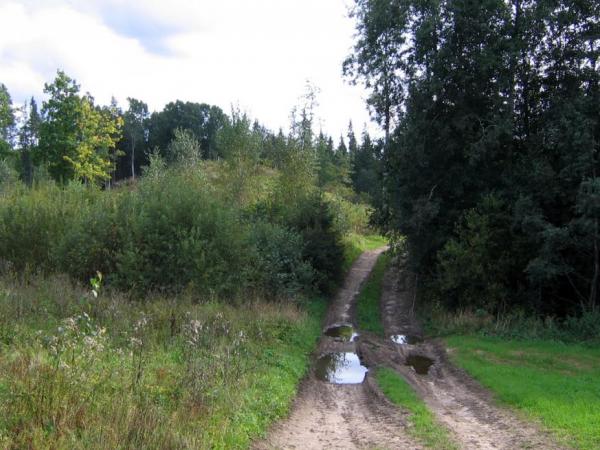 Meņģeļkalns. Kocēnu pagasts. 2007.g. 10.septembris. V.Grīviņa foto.