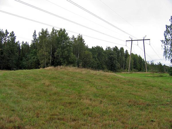 Straupnieku Mēra kapi. Kocēnu pagasts. 2007.g. 7.septembris. V.Grīviņa foto.