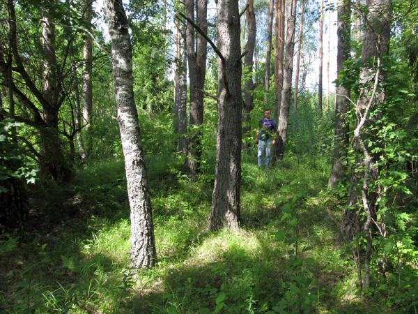 Briņķu senkapi. I grupas 1.uzkalniņš. 2012.g. vasara.