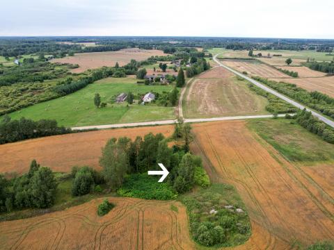 1. attēls. Smeltānu kroga vieta. Zalves pagasts, Aizkraukles novads. 2023. gada 7. augusts. V. Grīviņa foto.