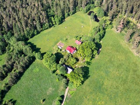 1. attēls. "Dārznieki", Rendas pag., Kuldīgas nov. 2022.g. 12. jūnijs. V.Grīviņa foto.