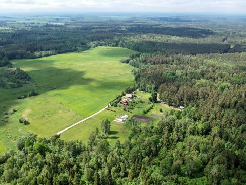 1. attēls. "Ceļmaļi" no putna lidojuma. Rendas pag., Kuldīgas nov. 2022.g. 11.jūnijs. V.Grīviņa foto.
