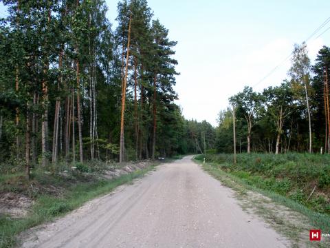 1. attēls. Vecā Rīgas–Tērbatas lielceļa trase pie aptuvenās Asnu kroga vietas. Ādažu pag., Ādažu novads. 2023. gada 13. septembris. V. Grīviņa foto. 