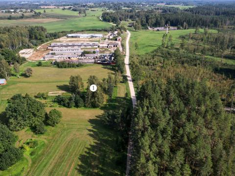 1. attēls. Veco Stoķu māju vieta (1). Sējas pagasts, Saulkrastu novads. 2023. gada 13. septembris. V. Grīviņa foto.