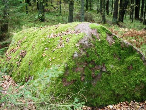 Strumpītes dižakmens (Lielais akmens). 2014.gada oktobris. Edgara Žīgura foto.